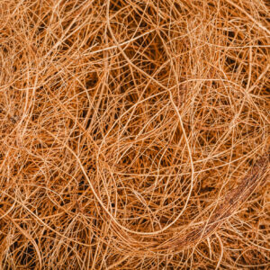 Coir Fiber