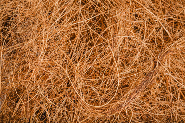 Coir Fiber